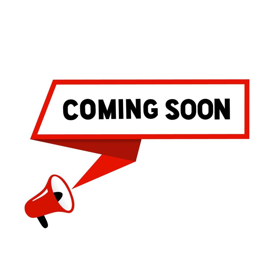 NW TBC Players, Premium Tape Ball Cricket Bat - 13